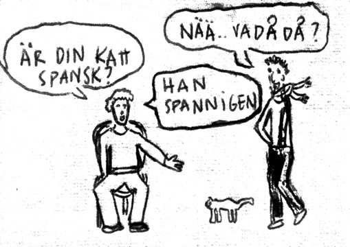 Göteborgsvits - katt i spanien - Barribo - Lina Barryd