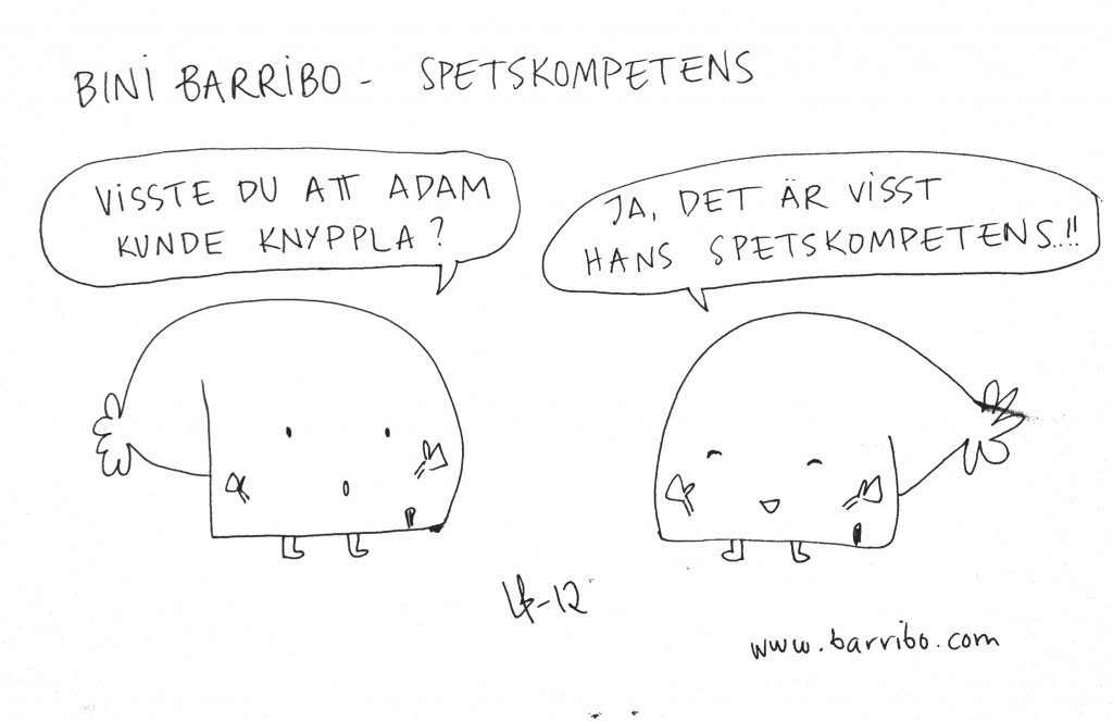 Bini Barribo - Spetskompetens - Göteborgsvits