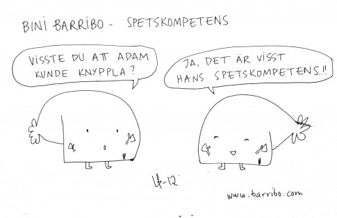 Bini Barribo - Spetskompetens - Göteborgsvits 